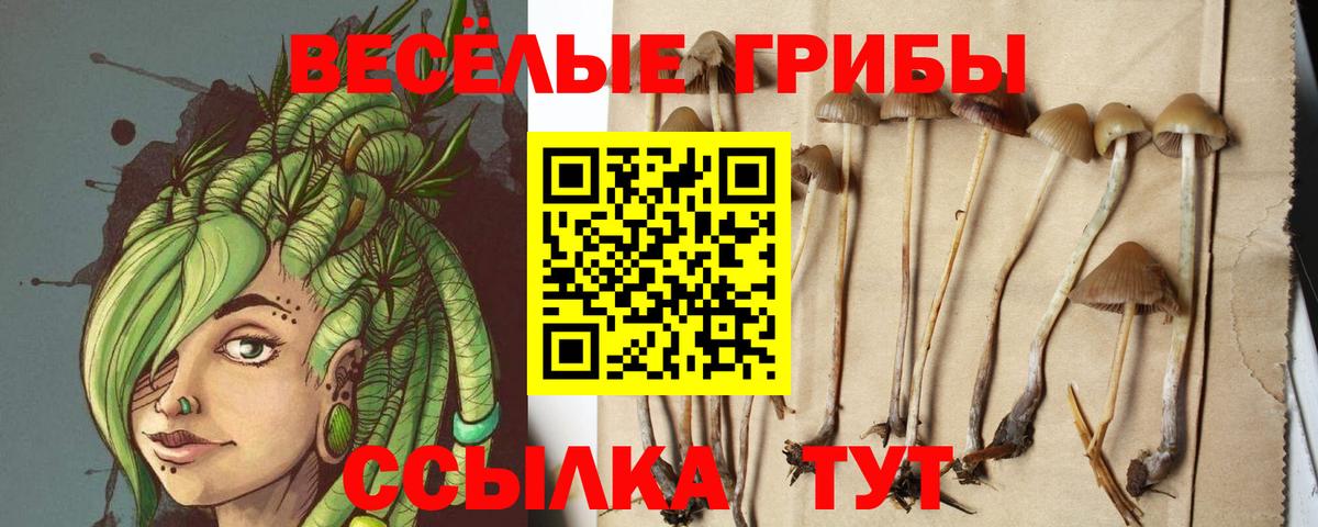 Псилоцибиновые грибы GOLDEN TEACHER  Вход с VPN  Карасук 